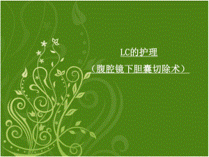 LC护理常规.ppt