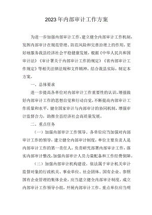 2023年内部审计工作方案.docx