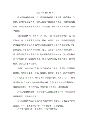 《故乡》的感受40字.docx