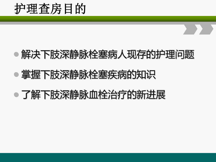 下肢深静脉血栓的护理查房(最新版).ppt_第2页