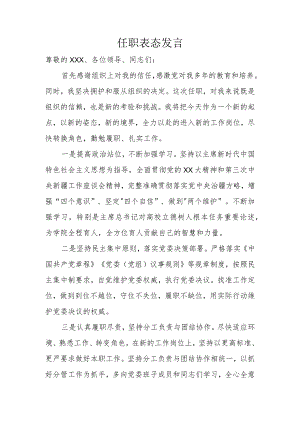 任职表态发言.docx