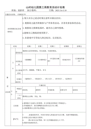 山村幼儿园第三周教育活动计划表.docx