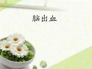 脑出血护理查房1.ppt
