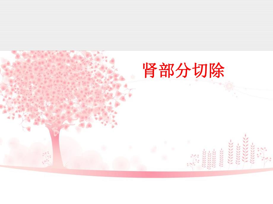 肾部分切除第二季度护理查房.ppt_第1页