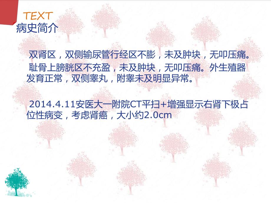 肾部分切除第二季度护理查房.ppt_第3页