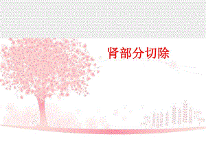 肾部分切除第二季度护理查房.ppt