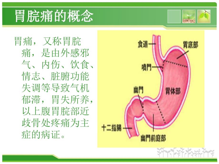 胃脘痛中医护理查房.ppt_第2页