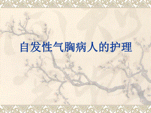 自发性气胸病人的护理.ppt.ppt