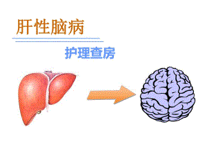 肝性脑病的护理.ppt