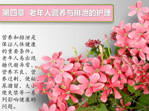 老护理第四章老人营养与排泄的护理.ppt