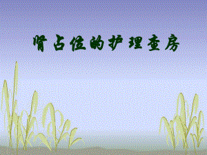 肾占位的护理查房ppt幻灯片.ppt