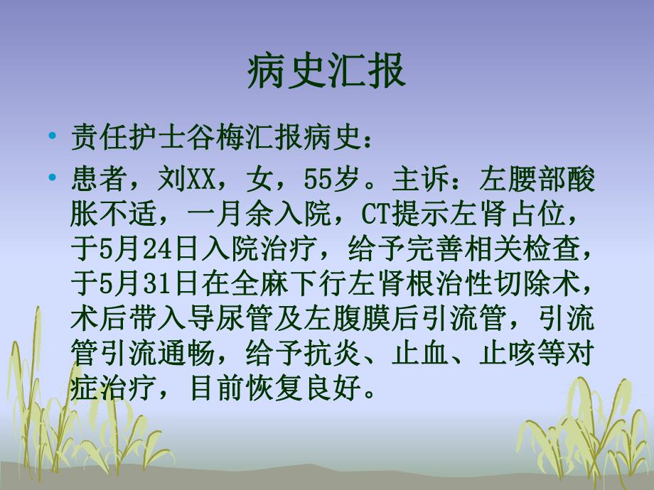 肾占位的护理查房ppt幻灯片.ppt_第3页