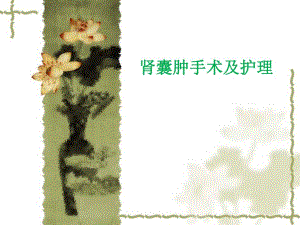 肾囊肿手术及护理ppt1.ppt