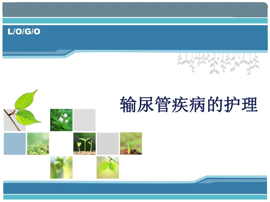 输尿管疾病的护理.ppt_第1页