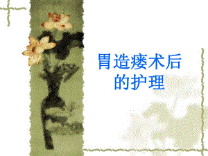 胃造瘘术后的护理.ppt.ppt