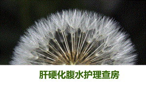 肝硬化腹水护理查房.ppt