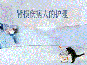 肾损伤病人的护理ppt.ppt