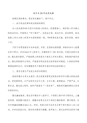 副乡长23年述责述廉.docx
