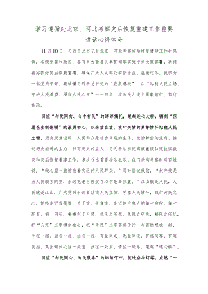学习遵循赴北京、河北考察灾后恢复重建工作重要讲话心得体会.docx