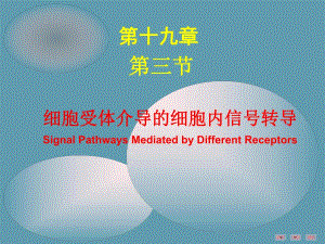 细胞受体介导的细胞内信号转导.ppt