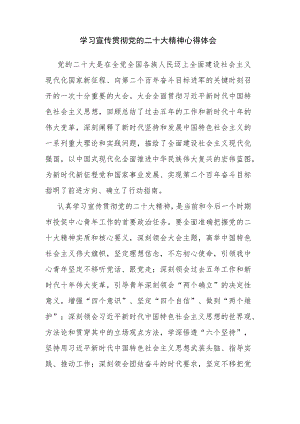 学习宣传贯彻党的二十大精神心得体会.docx