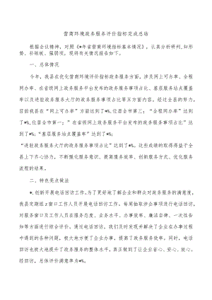 营商环境政务服务评价指标完成总结.docx
