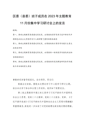 区委（县委）班子成员在2023年主题教育11月份集中学习研讨会上的发言.docx