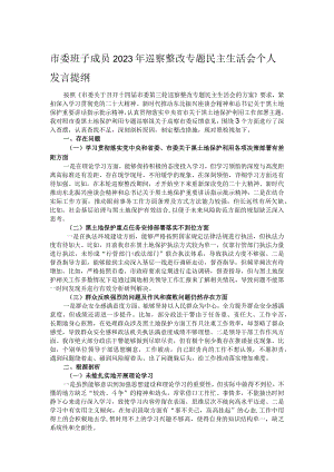 市委班子成员2023年巡察整改专题民主生活会个人发言提纲 .docx
