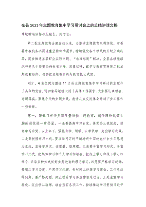在县2023年主题教育集中学习研讨会上的总结讲话文稿.docx