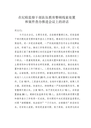 在纪检监察干部队伍教育整顿线索处置和案件查办推进会议上的讲话.docx