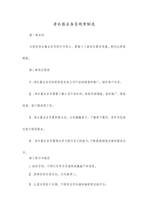 净水器业务员规章制度.docx