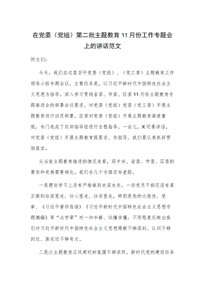 在党委（党组）第二批主题教育11月份工作专题会上的讲话范文.docx