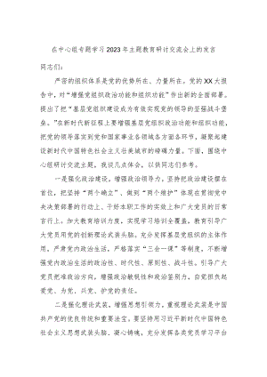 在中心组专题学习2023年主题教育研讨交流会上的发言.docx