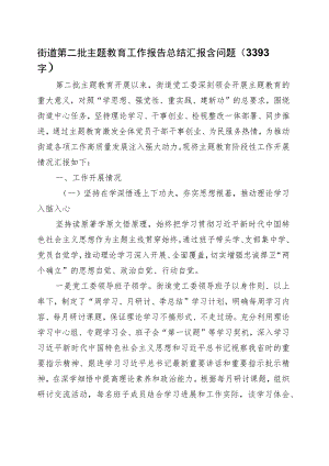 街道第二批主题教育工作报告总结汇报含问题.docx