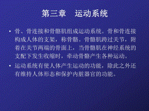 人体解剖生理学第三章 运动系统.ppt