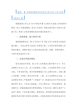 乡镇村级财务管理自查自纠工作开展情况汇报7篇.docx