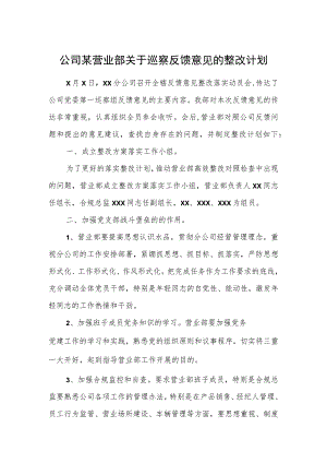 公司某营业部关于巡察反馈意见的整改计划.docx