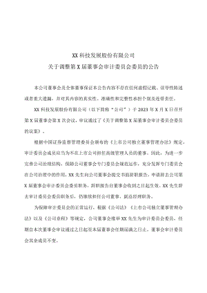 XX科技发展股份有限公司关于调整第X届董事会审计委员会委员的公告.docx