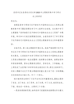 县委书记在县委机关党支部2023年主题教育集中学习研讨会上的讲话 .docx