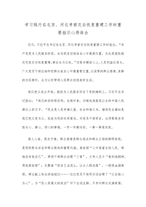 学习践行在北京、河北考察灾后恢复重建工作时重要指示心得体会.docx