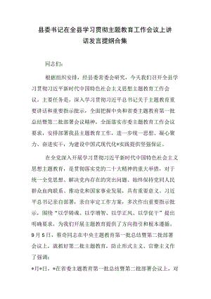 县委书记在全县学习贯彻主题教育工作会议上讲话发言提纲合集.docx