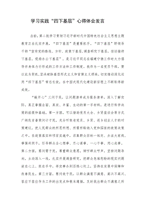 学习实践“四下基层”心得体会发言2篇.docx