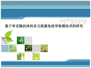 基于单克隆抗体的多元弧菌免疫学检测技术的研究.ppt