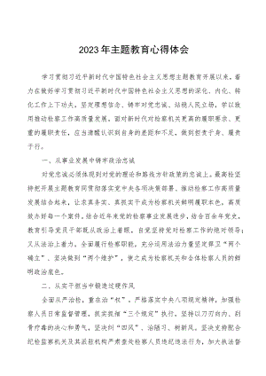 检察长关于2023年第二批主题教育的学习心得体会.docx