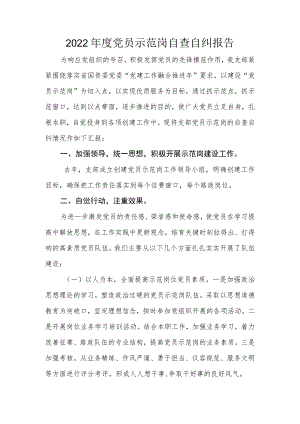 2022年度党员示范岗自查自纠报告.docx