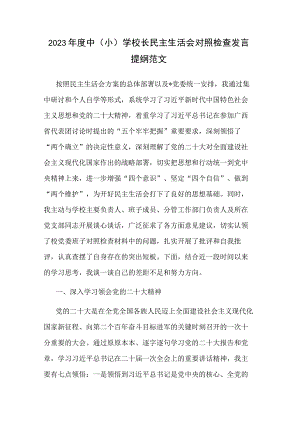 2023年度中（小）学校长民主生活会对照检查发言提纲范文.docx