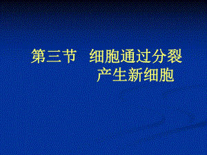 细胞通过分裂产生新细胞.ppt