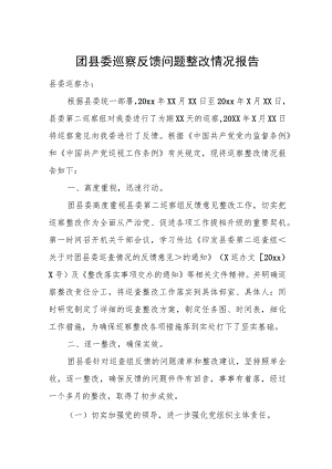 团县委巡察反馈问题整改情况报告.docx