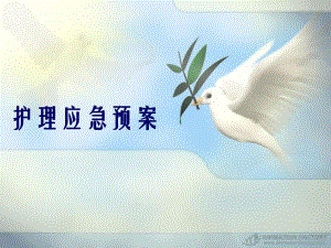 护理应急预案.ppt