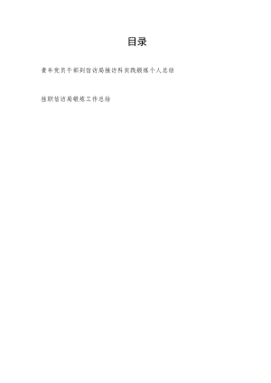 青年党员干部到信访局接访科挂职实践锻炼个人工作总结2篇.docx